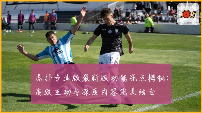 虎扑专业版最新版功能亮点揭秘：高效互动与深度内容完美结合