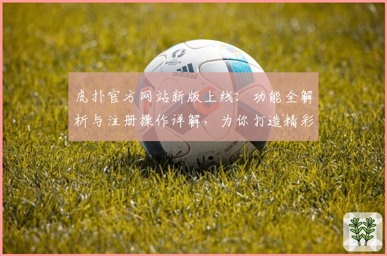 虎扑官方网站新版上线：功能全解析与注册操作详解，为你打造精彩社区体验