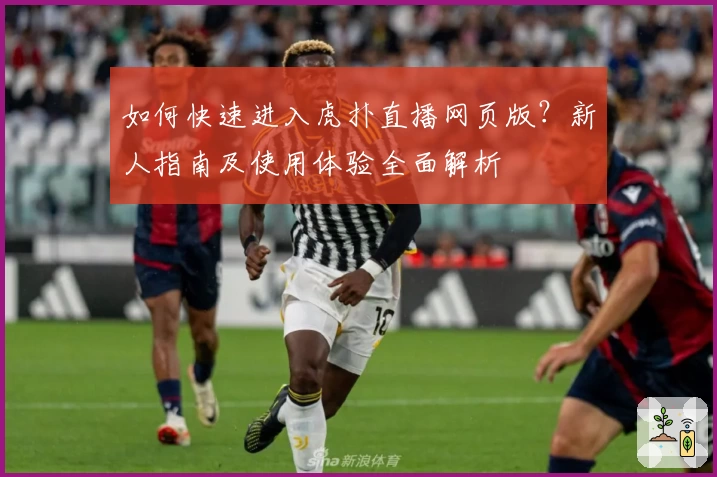 如何快速进入虎扑直播网页版？新人指南及使用体验全面解析
